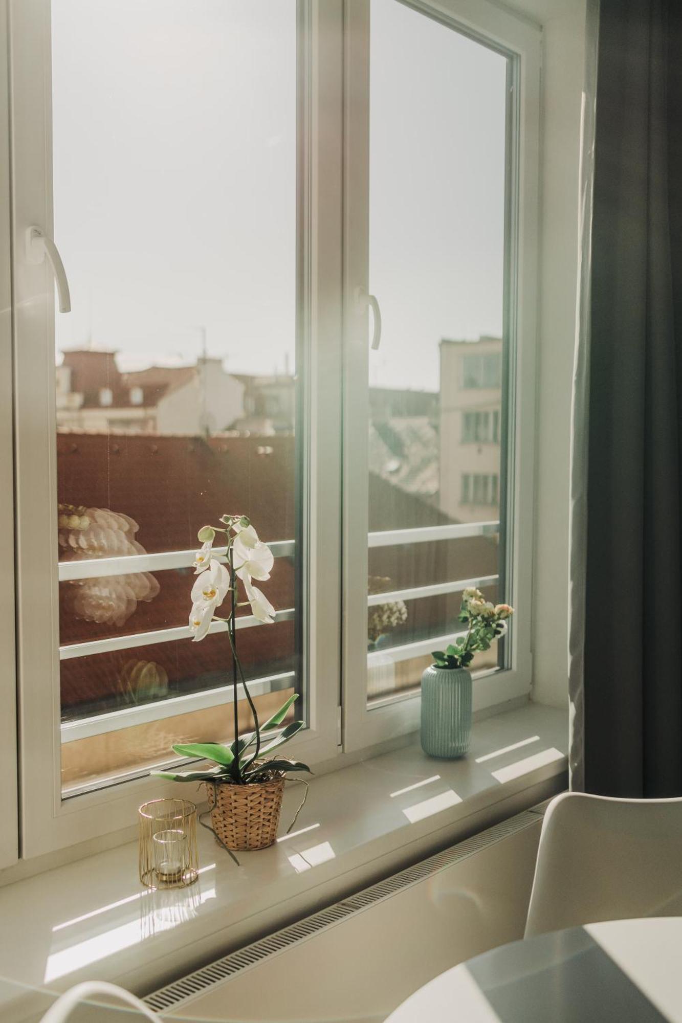 Citybeat Apartments, 400M From The Square 比尔森 外观 照片